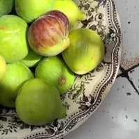 TAKE ME TO CAPRI BODY SOAP - Fig Leaves & Ivy 150g