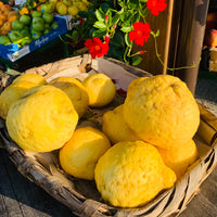 BUONGIORNO POSITANO - Gift Set Singolo