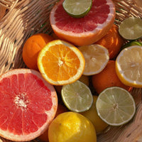 SUMMER IN SORRENTO Hand Painted Soy Candle - Bergamot & Orange Blossom 200g