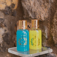 Travel Size Hair & Body Wash - 100ml